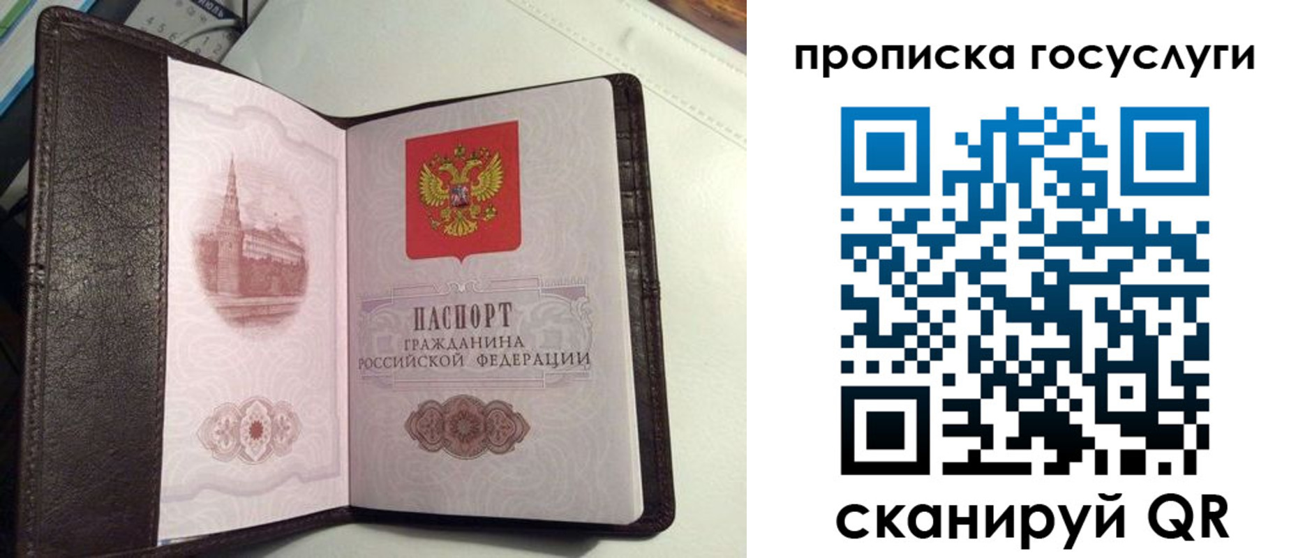 временная прописка в Геленджике